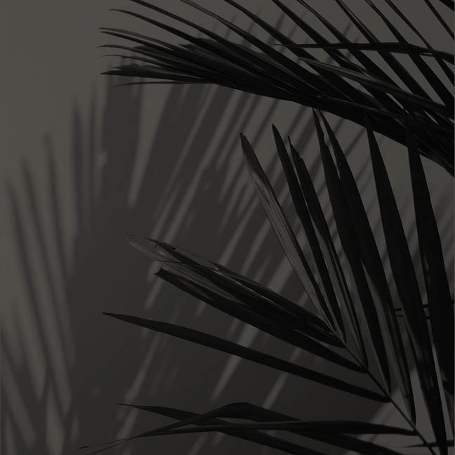 Ash Wednesday Service

February 18, 7 PM | Sanctuary
Join us on&nbsp;Ash&nbsp;Wednesday&nbsp;for a service of worship, Holy Communion, and the imposition of&nbsp;ashes as we begin the season of Lent.

Learn More
