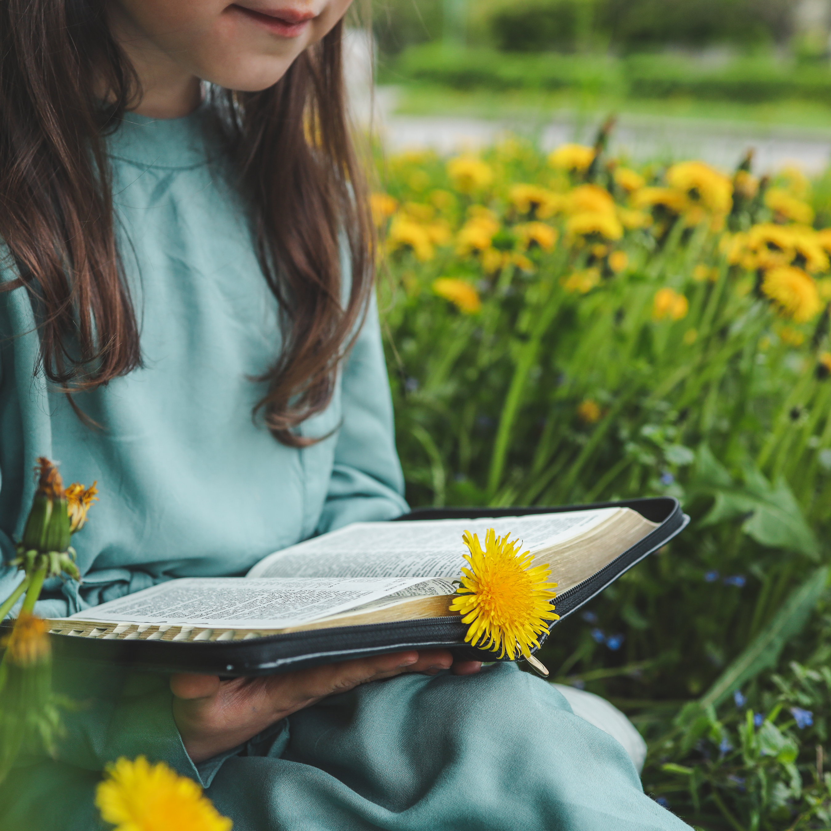 Fourth Grade Bibles Milestone

September 20, 9 AM |&nbsp;McFarland Hall
Fourth graders begin a new year of faith formation by receiving a new Bible.

Learn More
